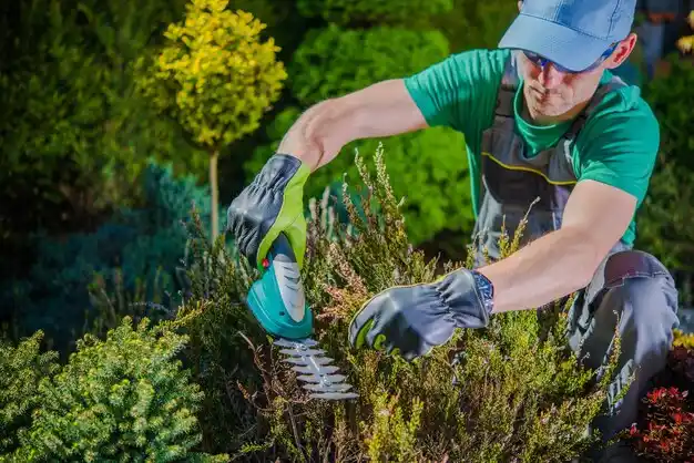 landscaping services Cousins Island